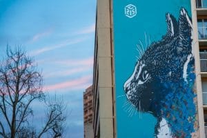 Le Chat C215 Street Art - Paris 13ème